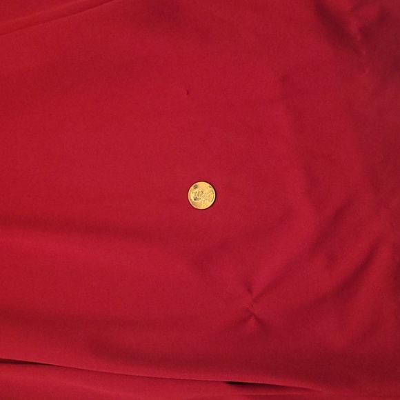 Fabulous 1970s International Ladies Garment Workers Union Vintage Deep Red Dress - Picture 15 of 17